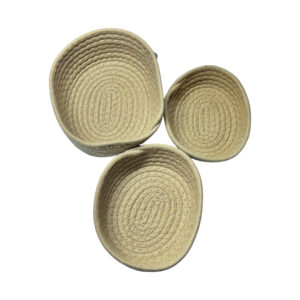 D11-013 Paneras x3